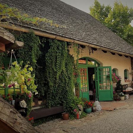 Domy Konesera Trzcin Extérieur photo