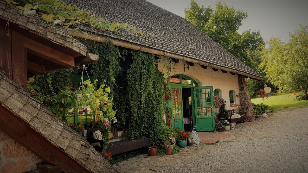 Domy Konesera Trzcin Extérieur photo